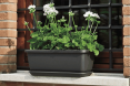 Miza - Flower Under-Box