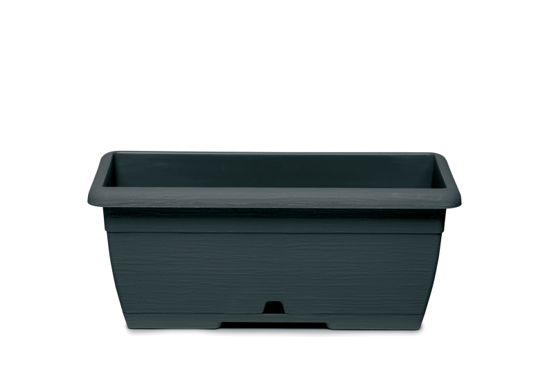 Mini Oasis - Mini Flower Holder - Container + Box