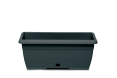 Mini Oasis - Mini Flower Holder - Container + Box