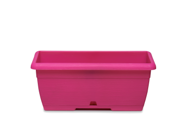 Mini Oasi Flower Holder | Compact Integrate Container + Planter ERBA