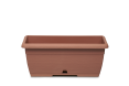 Mini Oasis - Mini Flower Holder - Container + Box